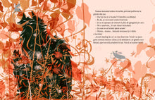 Pachet complet Ai voie Naivoie