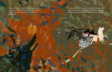 Pachet complet Ai voie Naivoie