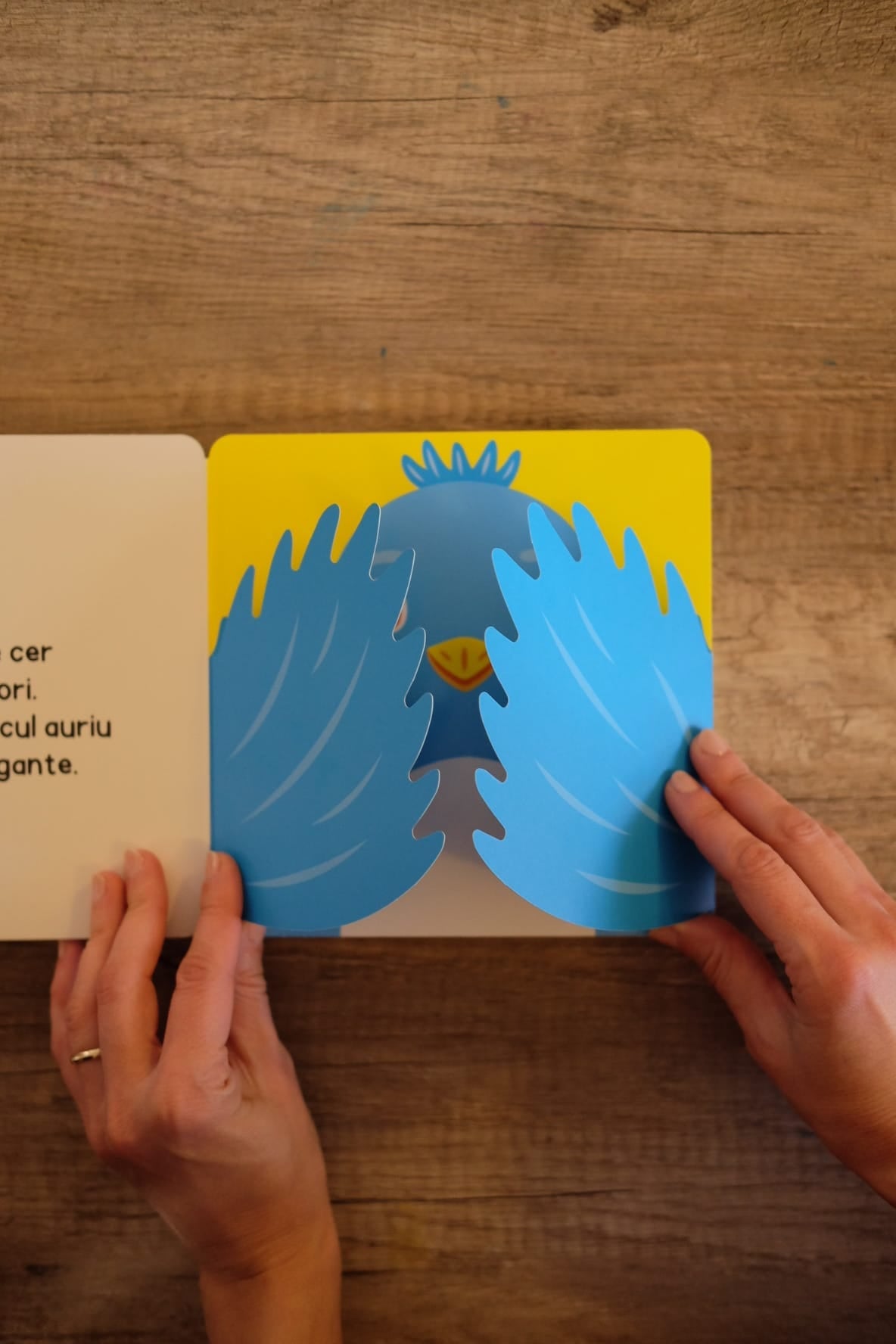 Pachet 2 cărți interactive