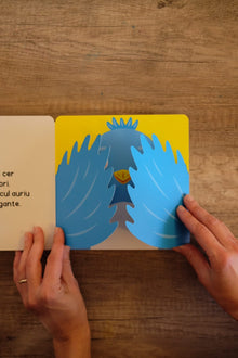 Pachet 2 cărți interactive