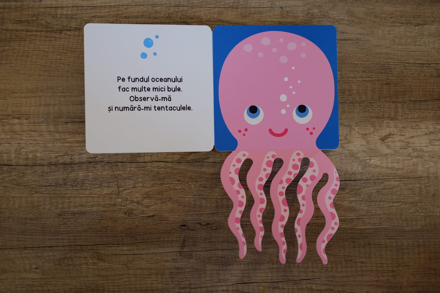 Pachet 2 cărți interactive