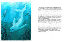 Foca Fega și Darul Bucuriei