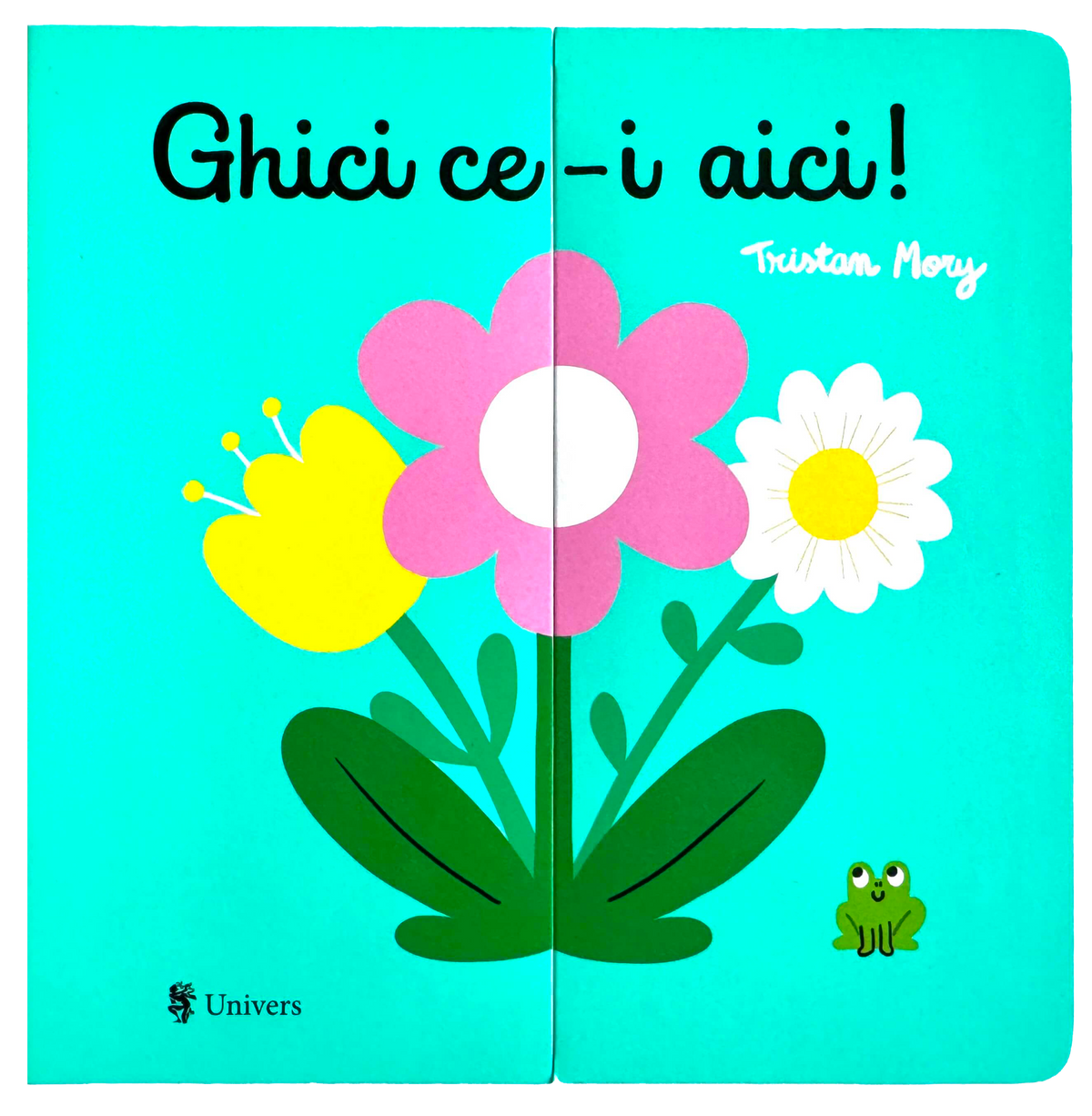 Ghici ce-i aici!