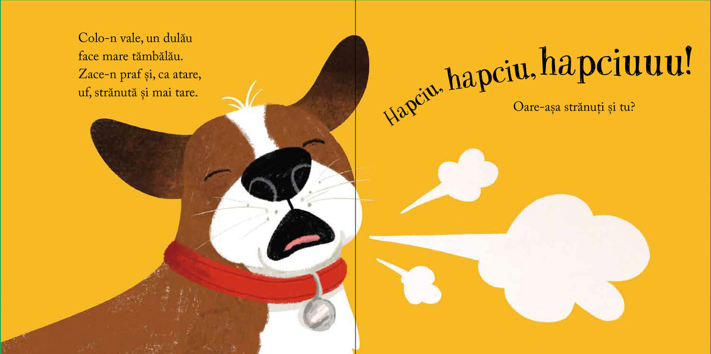 Pachet Alec Blenche 2 (0-3 ani)