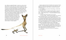 Isabela și Fetița de Lumină