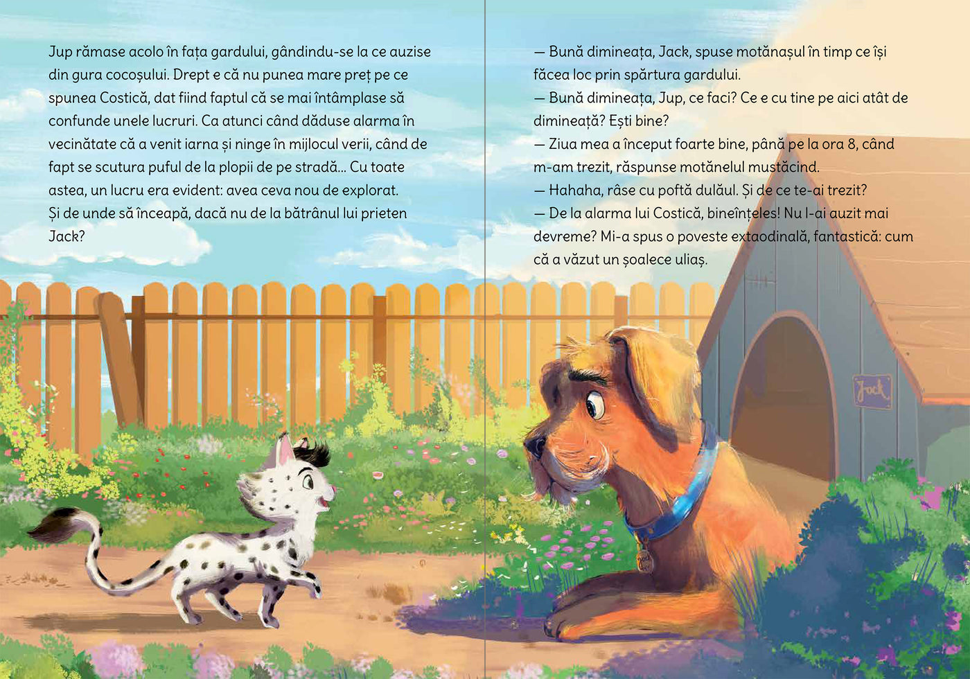 Jup, un pisoi de soi - volumul 11 - Jup și detectivul