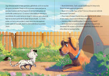 Jup, un pisoi de soi - volumul 11 - Jup și detectivul