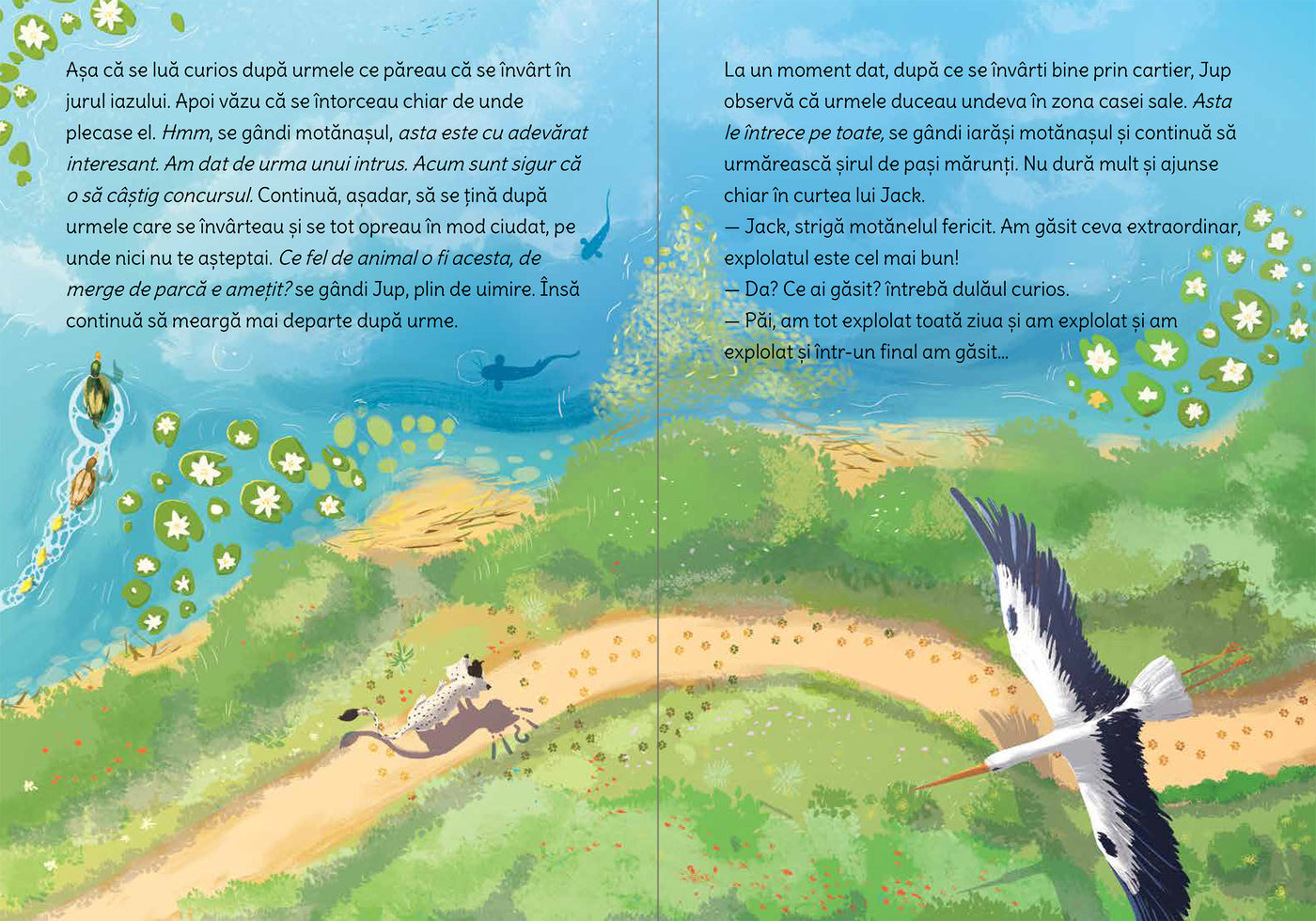 Jup, un pisoi de soi - volumul 11 - Jup și detectivul