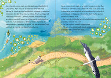 Jup, un pisoi de soi - volumul 11 - Jup și detectivul