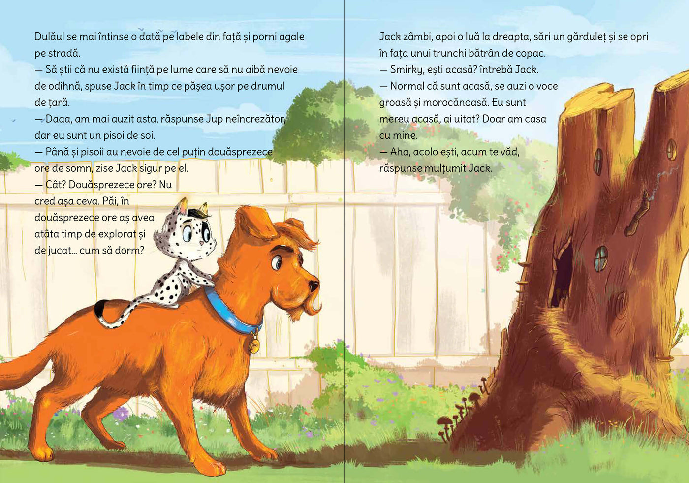 Jup, un pisoi de soi – volumul 10 – Jup cel neadormit