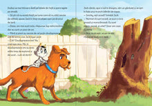 Jup, un pisoi de soi – volumul 10 – Jup cel neadormit