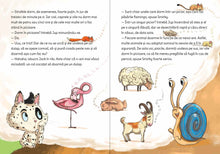 Jup, un pisoi de soi – volumul 10 – Jup cel neadormit