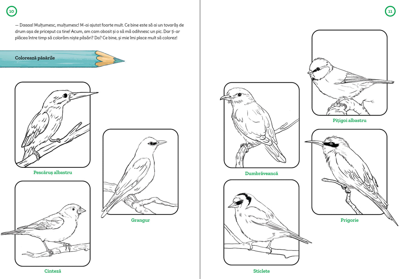Jup. Explorator în parc. Caiet de activități și explorări amuzante