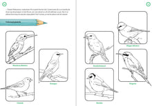 Jup. Explorator în parc. Caiet de activități și explorări amuzante