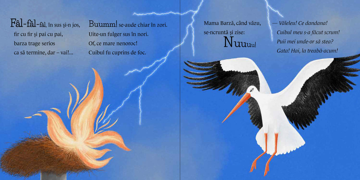 Pachet Olina Ortiz 5 (0-3 ani)