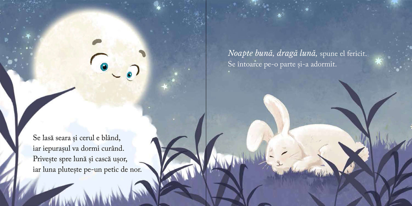Noapte bună, dragă Lună