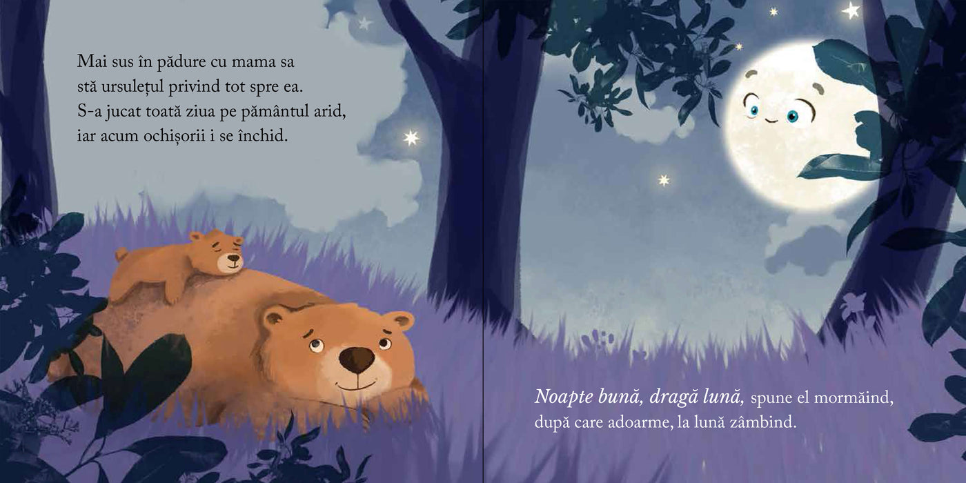 Noapte bună, dragă Lună