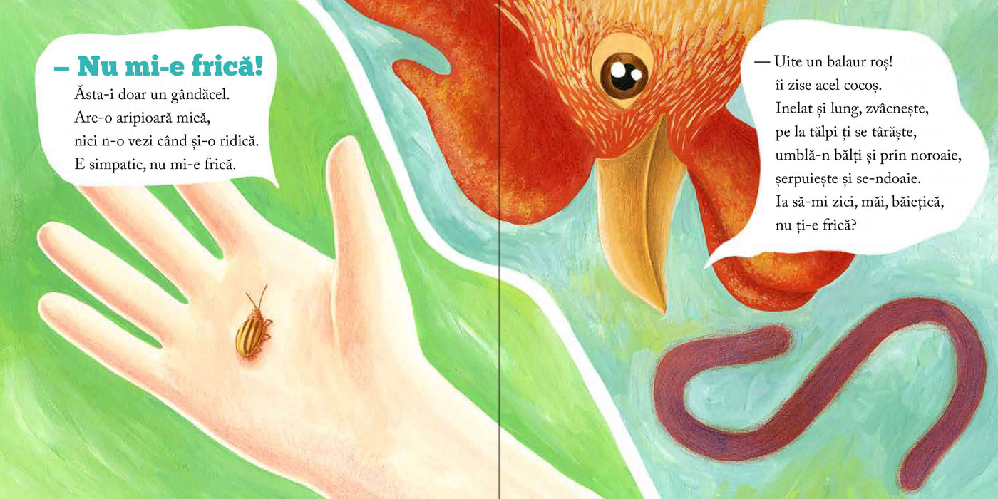 Băiețică Numiefrică