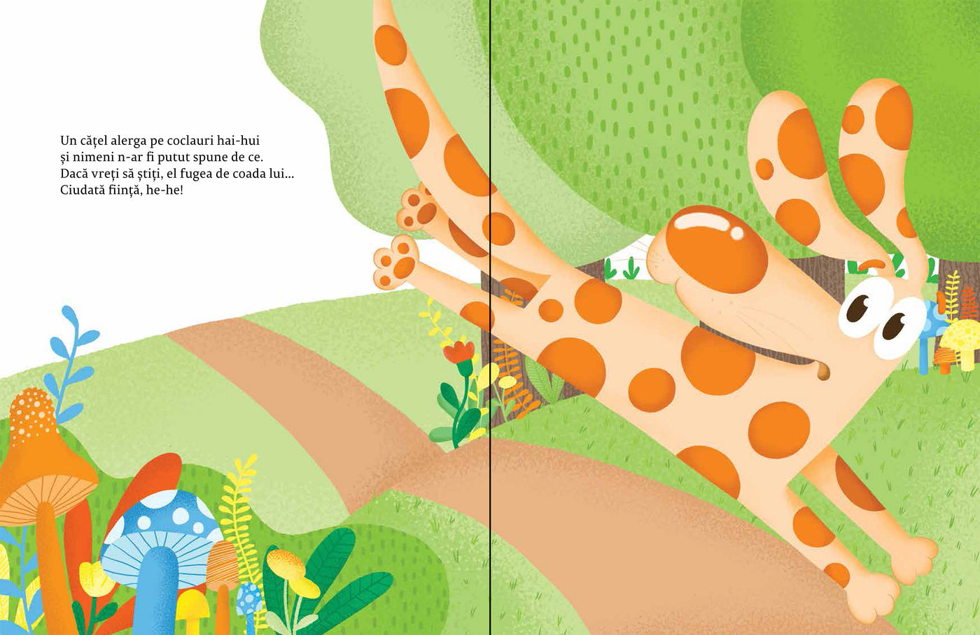 Pachet Olina Ortiz 9 + 1 carte de Crăciun - total patru cărți