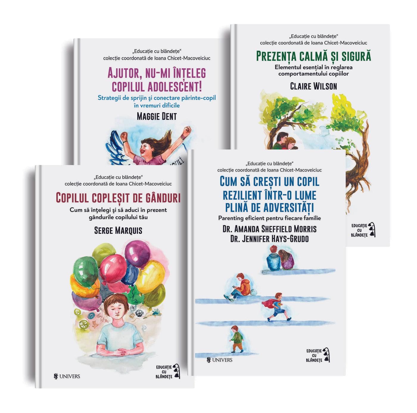 Pachet Siguranță și reziliență