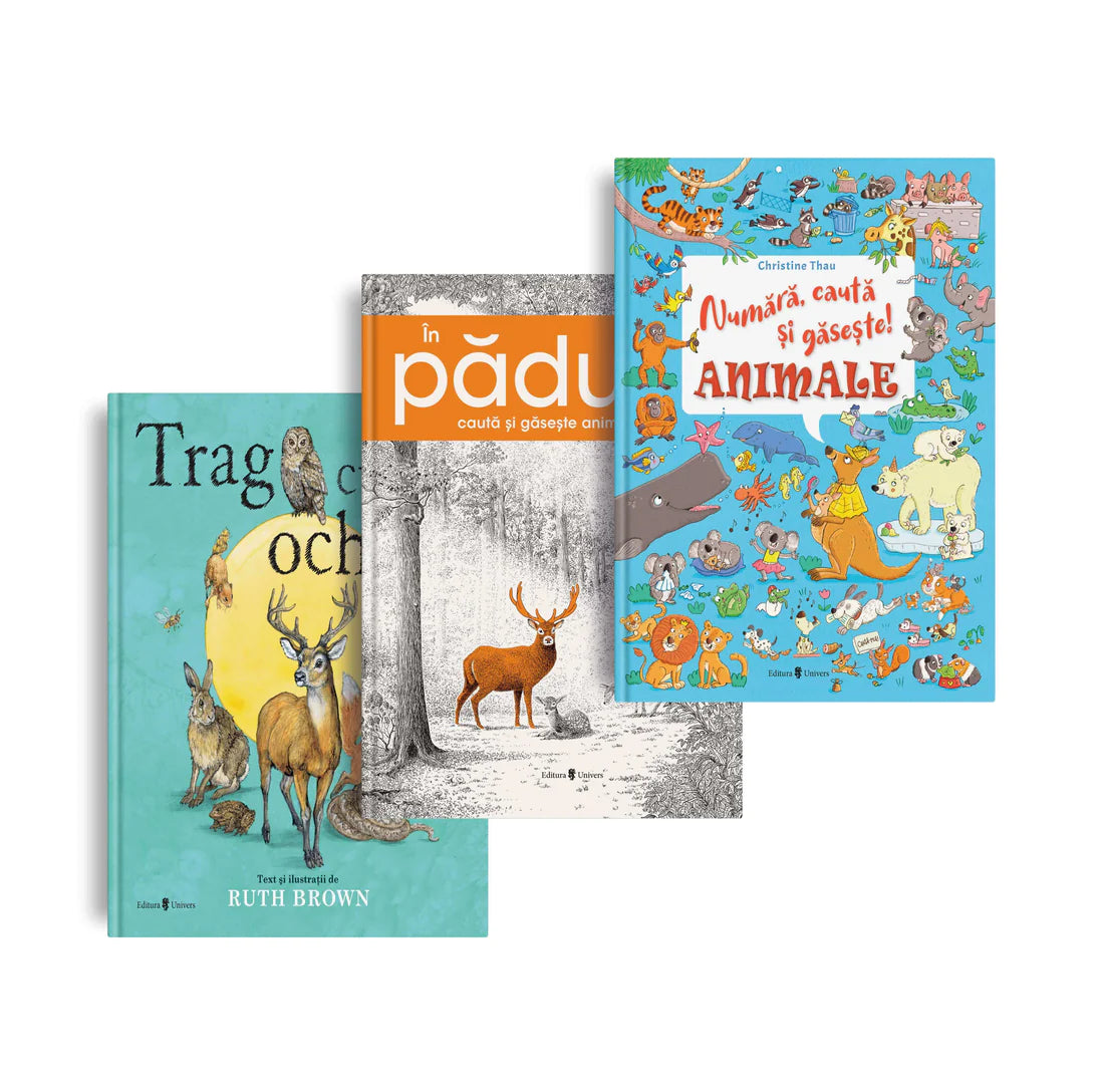 Pachet activități "Caută și găsește"