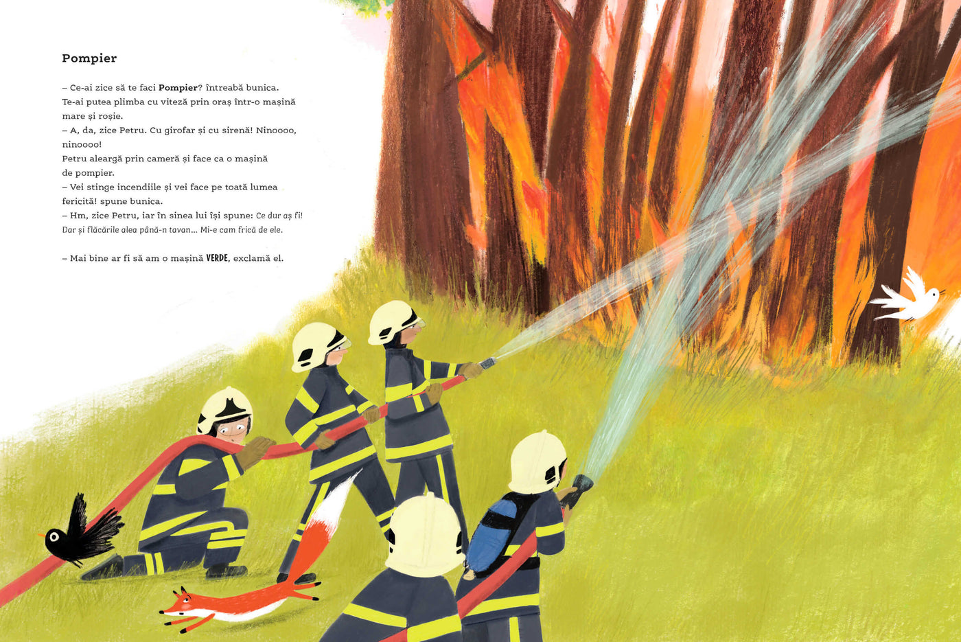 Ce profesie își va alege Petru?