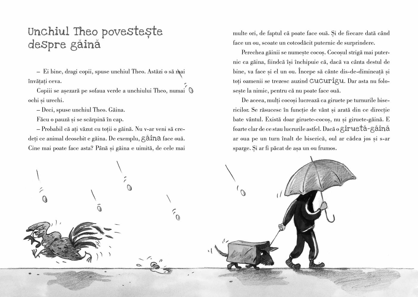 Măgarul e o zebră fără dungi