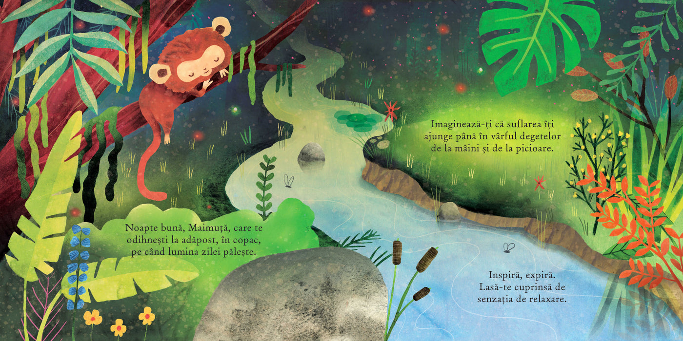 Pe malul râului adormit