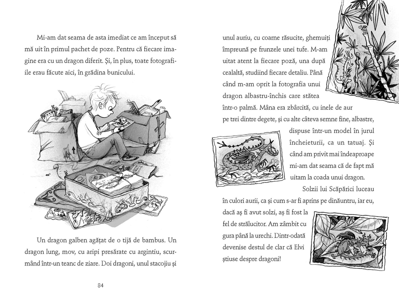 Băiatul care zbura cu dragoni