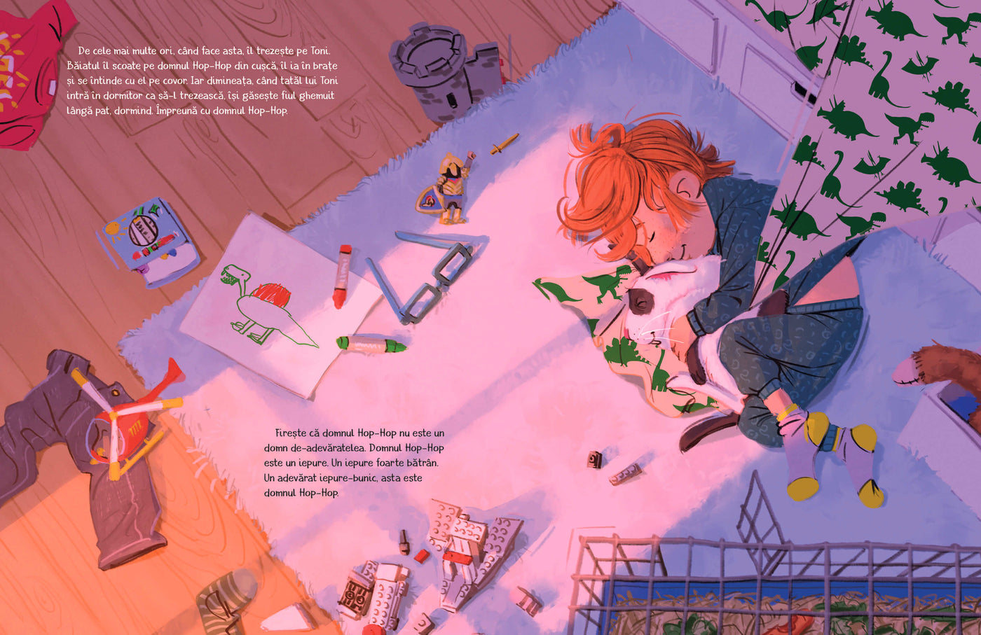 Domnul Hop-Hop învață să zboare