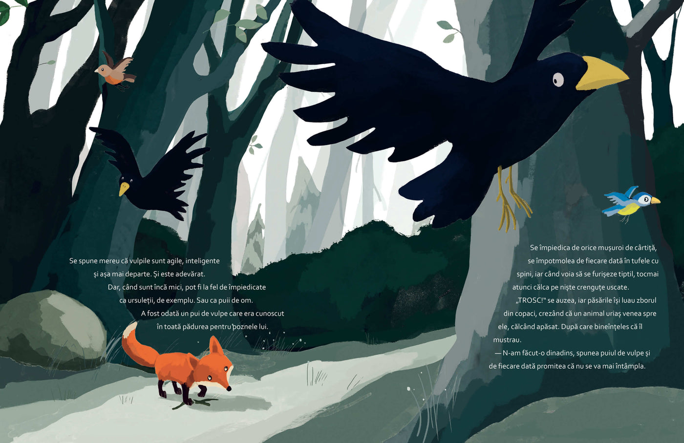 N-am făcut-o dinadins!