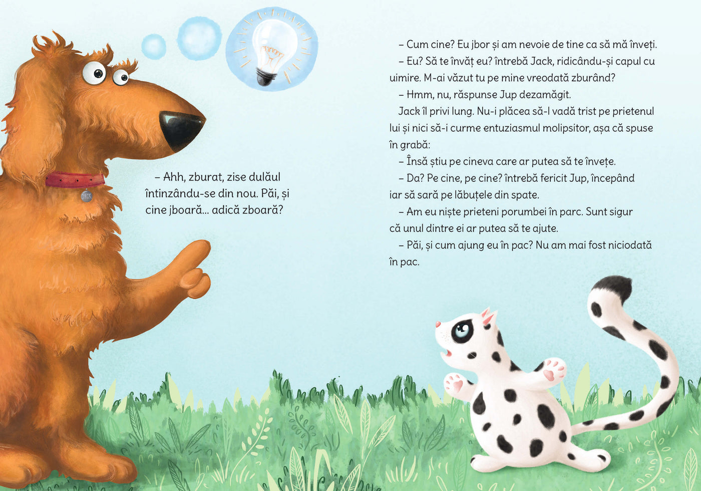 Jup, un pisoi de soi - volumul 1 - Jboară, Costică, jboară!