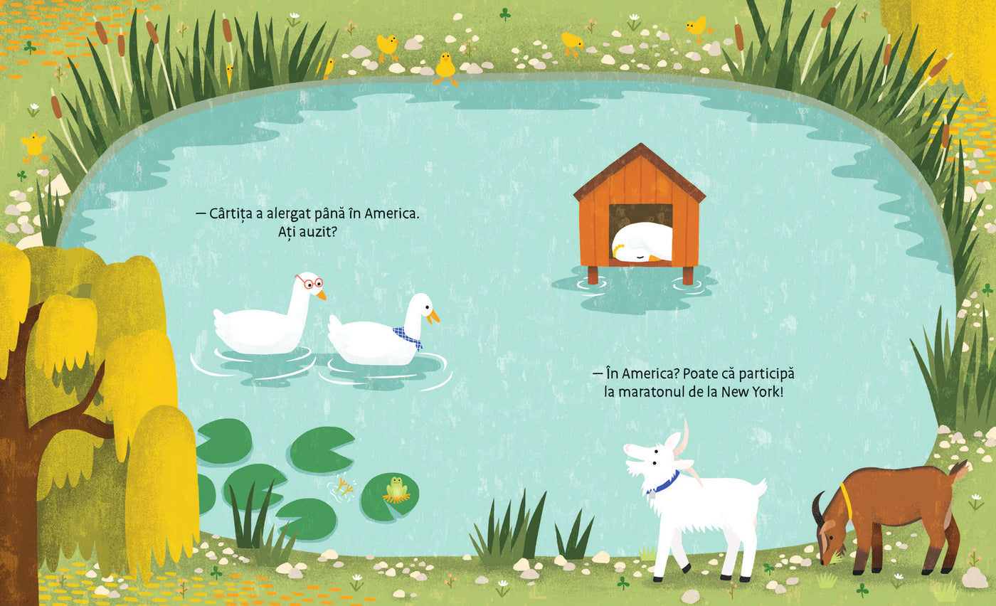 Pachet Trei cărți perfecte pentru sărbători