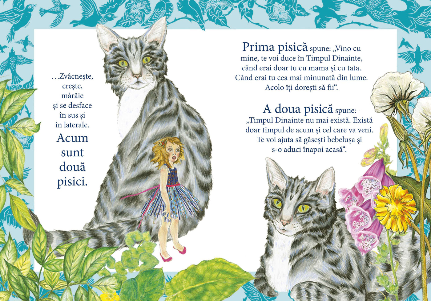 Te iubesc exact la fel