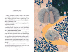 Ariciul cu pene și alte patru povești