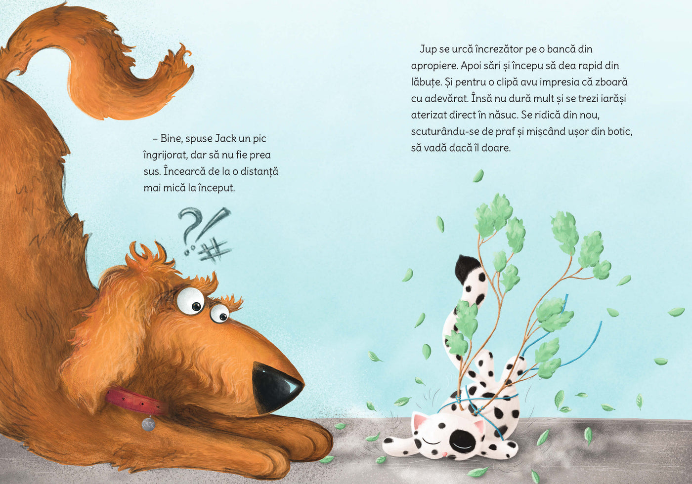 Pachet Aventuri fermecătoare