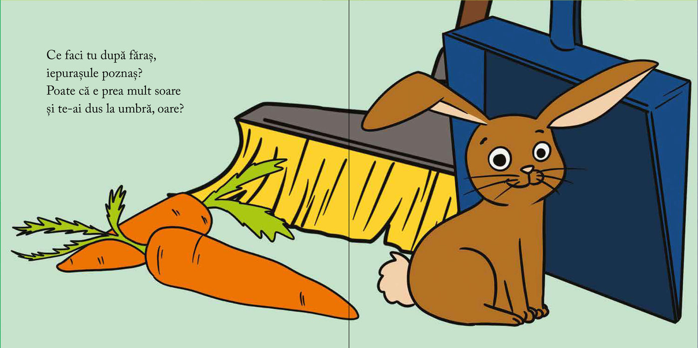 Pachet Alec Blenche 2 (0-3 ani)