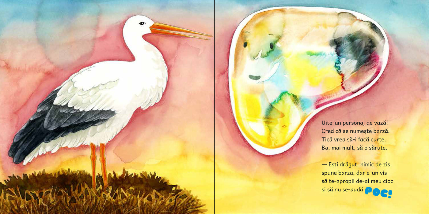 Un balon pe nume Tică