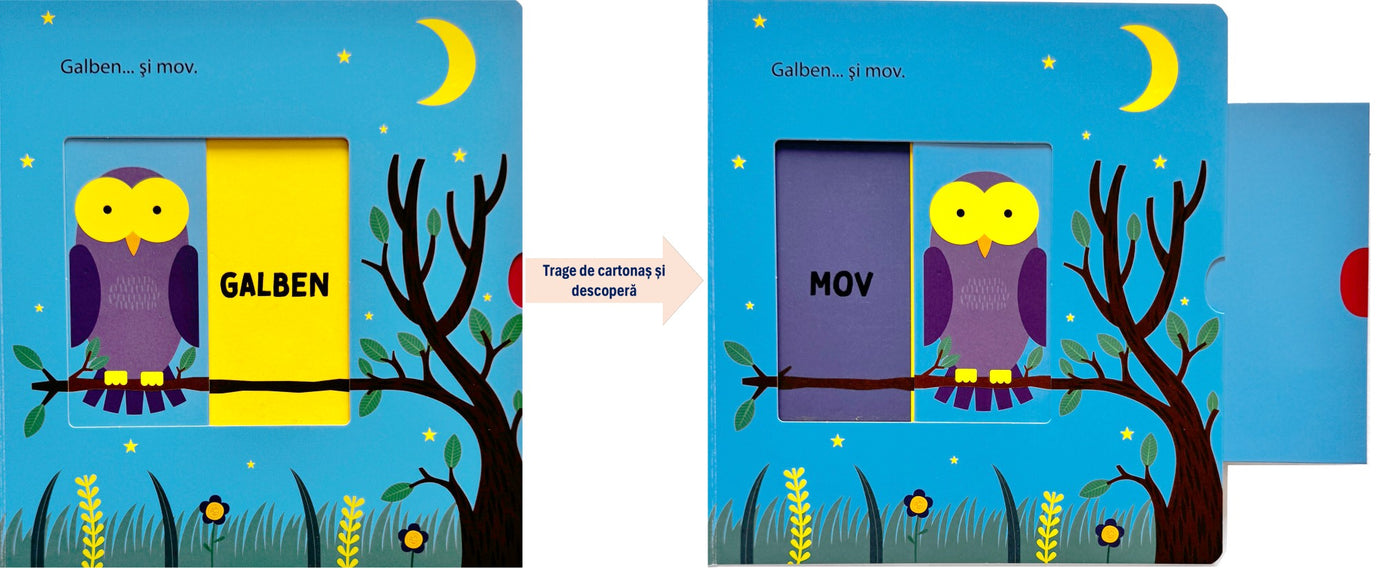 Acopăr și descopăr - Culori