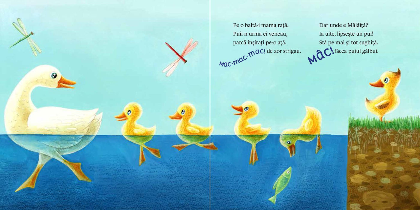 Pagini din interiorul cărții Mălăiță, vino la băiță de Olina Ortiz — ilustrații pentru copii