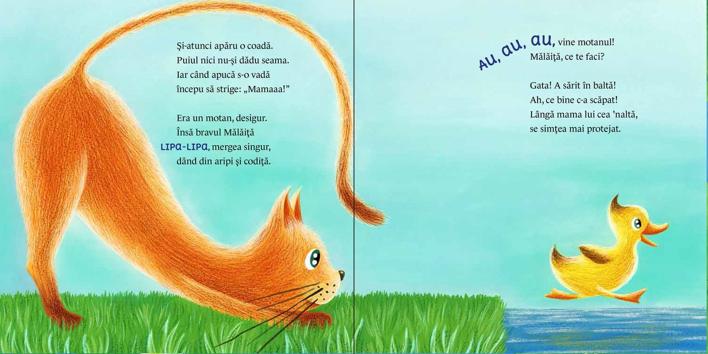 Pagini din interiorul cărții Mălăiță, vino la băiță de Olina Ortiz — ilustrații pentru copii