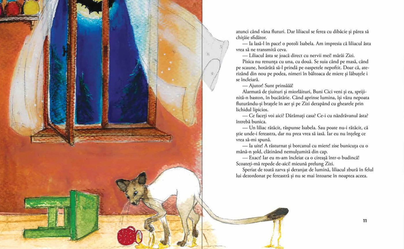 Pagini din interiorul cărții Pachet Isabela (3 vol.) de Olina Ortiz — ilustrații pentru copii