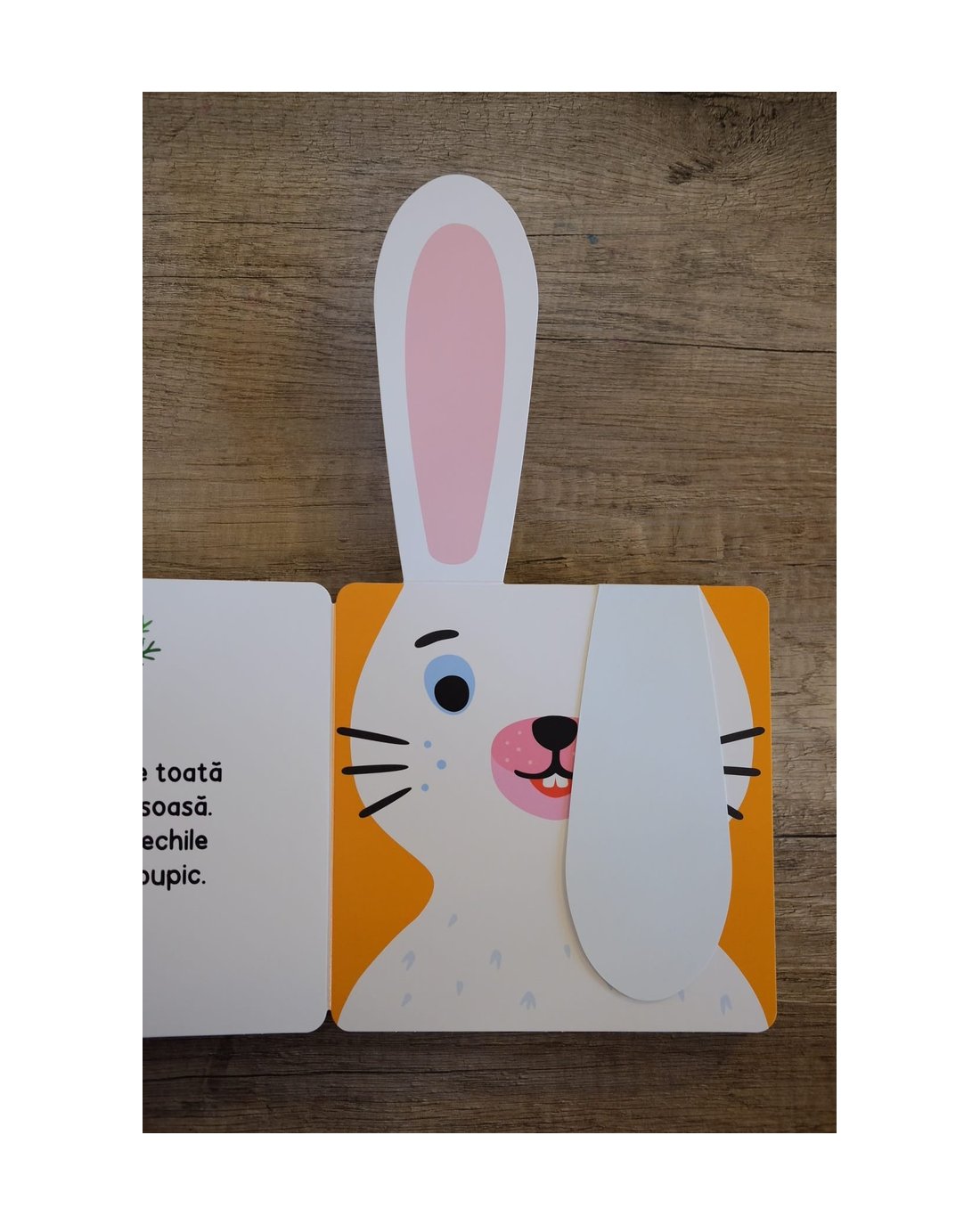 Pachet Olina Ortiz 4 (0-3 ani) + 2 cărți interactive — cărți de Olina Ortiz pentru copii