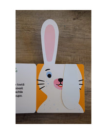 Pachet Olina Ortiz 4 (0-3 ani) + 2 cărți interactive — cărți de Olina Ortiz pentru copii