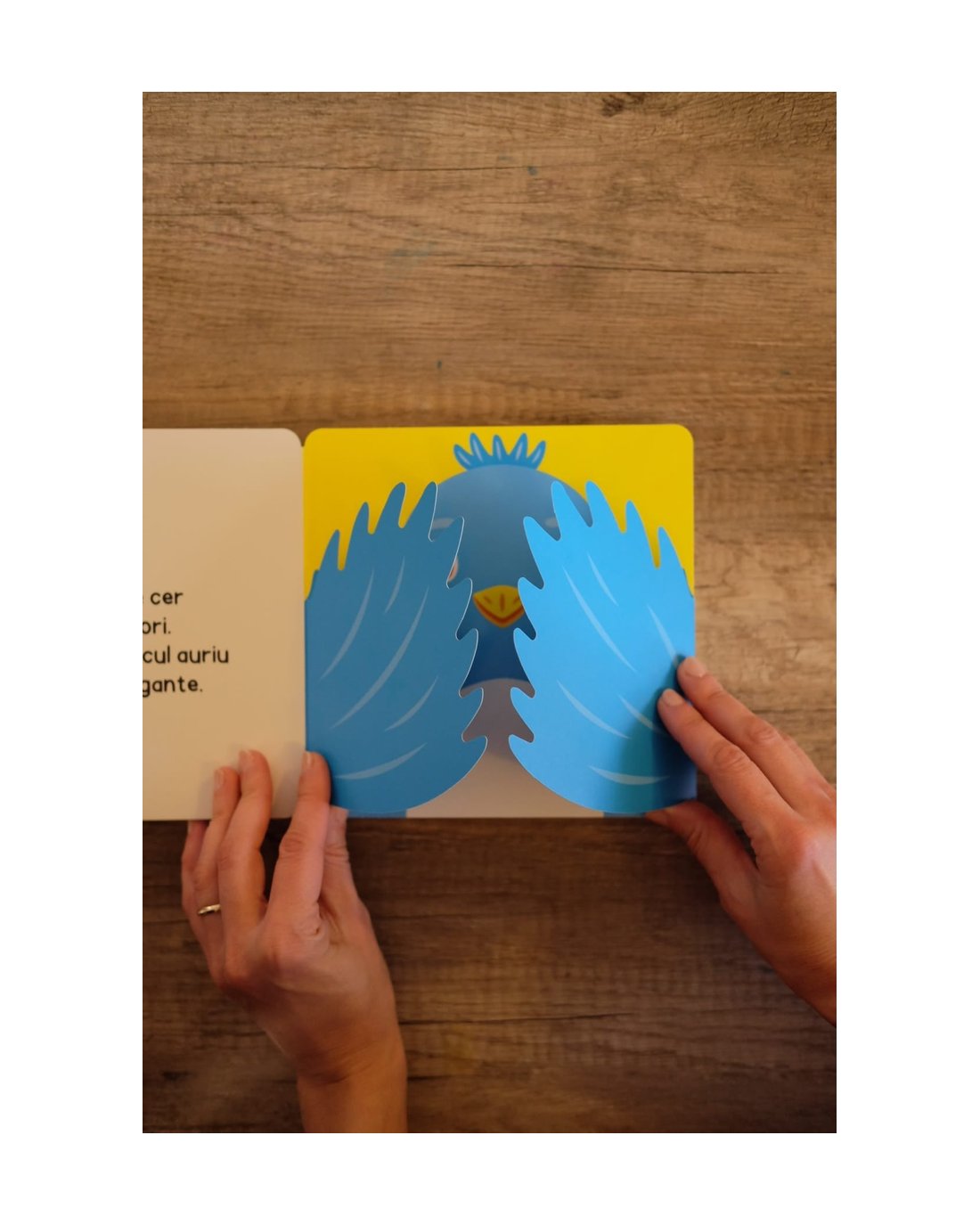 Pachet Olina Ortiz 4 (0-3 ani) + 2 cărți interactive — cărți de Olina Ortiz pentru copii