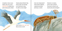 Pagini din interiorul cărții Spune! Cine se ascunde? de Olina Ortiz — ilustrații pentru copii
