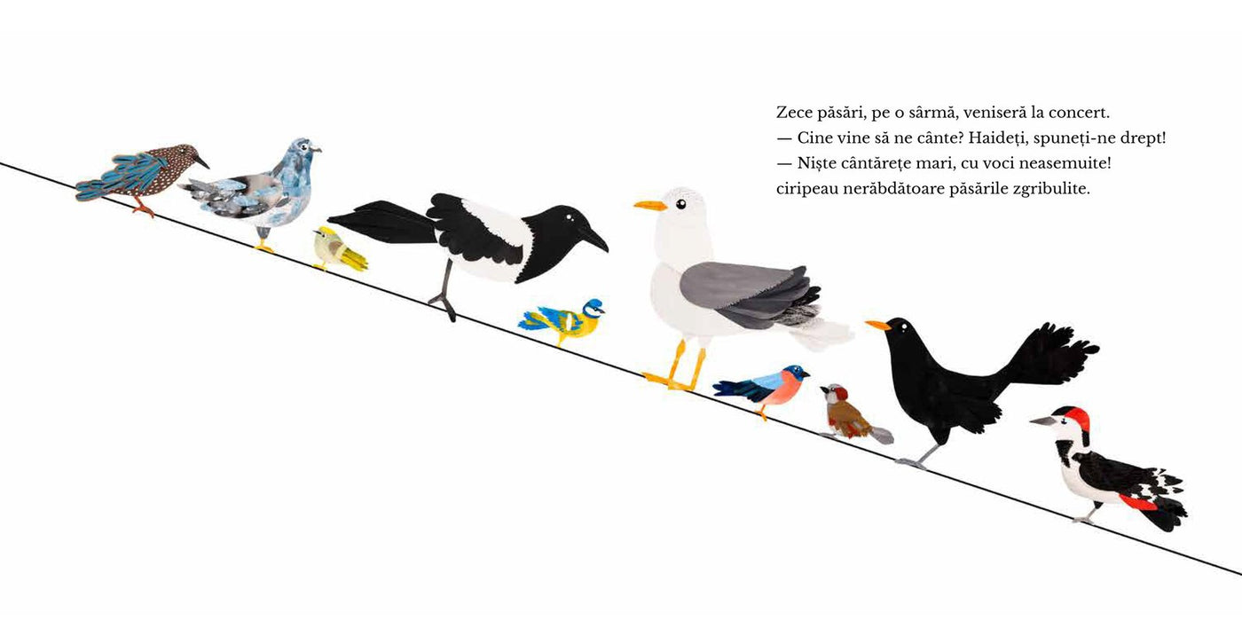 Pagini din interiorul cărții Zece păsări trilulilu de Olina Ortiz — ilustrații pentru copii