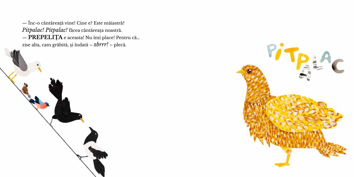 Pagini din interiorul cărții Zece păsări trilulilu de Olina Ortiz — ilustrații pentru copii