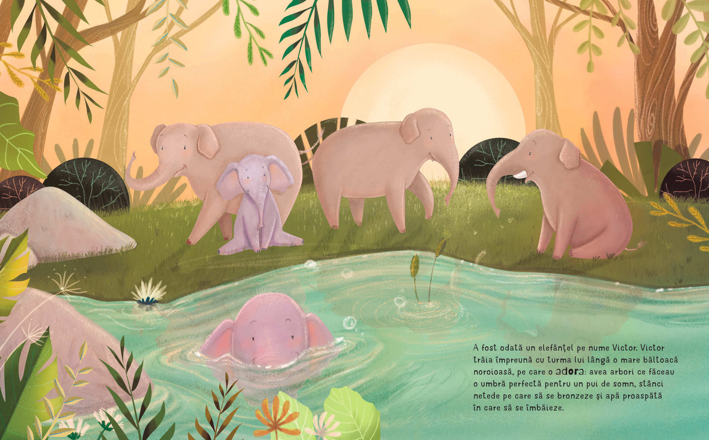 Cutia cu amintiri a lui Victor