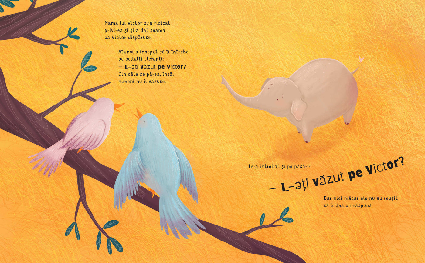 Cutia cu amintiri a lui Victor